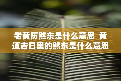 老黄历煞东是什么意思  黄道吉日里的煞东是什么意思