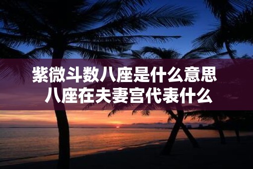 紫微斗数八座是什么意思  八座在夫妻宫代表什么