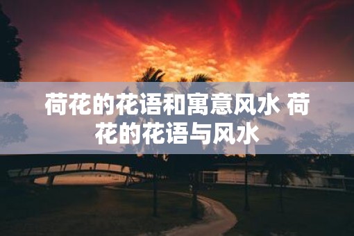 荷花的花语和寓意风水 荷花的花语与风水