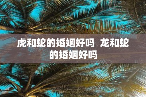 虎和蛇的婚姻好吗  龙和蛇的婚姻好吗