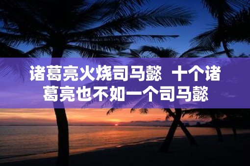 诸葛亮火烧司马懿  十个诸葛亮也不如一个司马懿