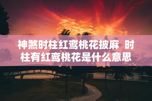 神煞时柱红鸾桃花披麻  时柱有红鸾桃花是什么意思