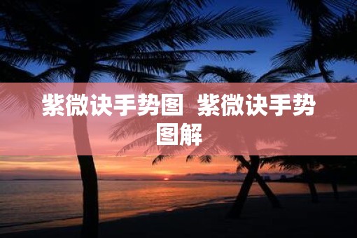 紫微诀手势图  紫微诀手势图解