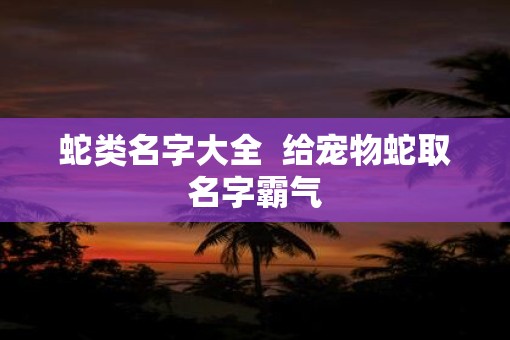 蛇类名字大全  给宠物蛇取名字霸气