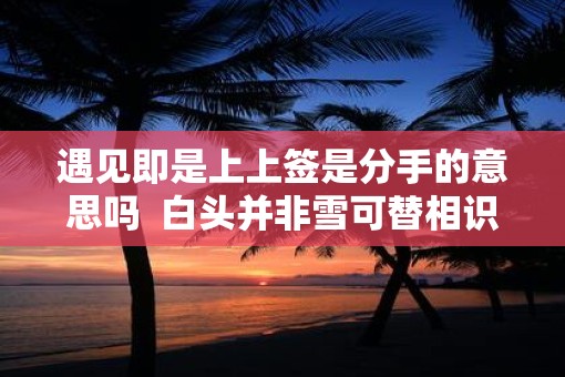 遇见即是上上签是分手的意思吗  白头并非雪可替相识已是上上签