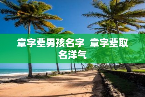 章字辈男孩名字  章字辈取名洋气