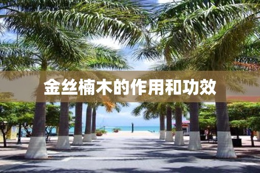 金丝楠木的作用和功效
