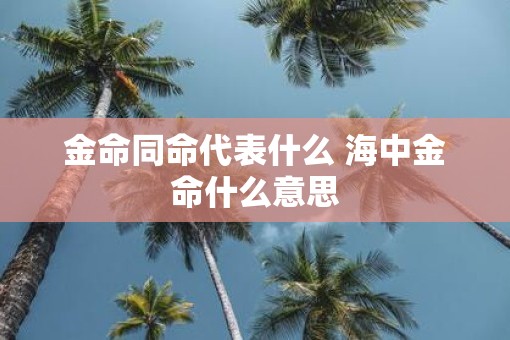 金命同命代表什么 海中金命什么意思