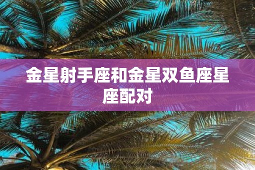 金星射手座和金星双鱼座星座配对