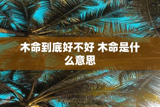 木命到底好不好 木命是什么意思