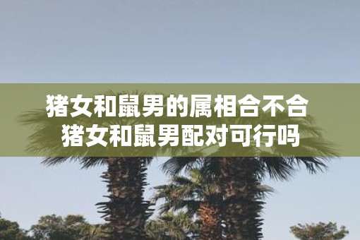 猪女和鼠男的属相合不合 猪女和鼠男配对可行吗