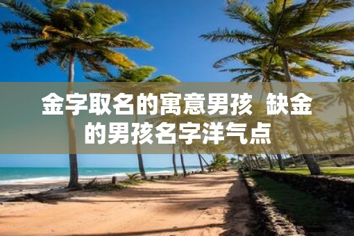 金字取名的寓意男孩  缺金的男孩名字洋气点