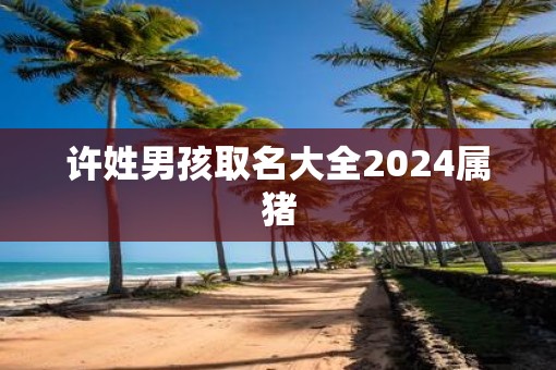 许姓男孩取名大全2025属猪
