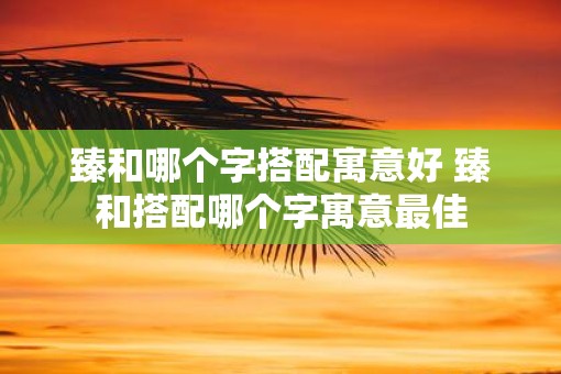 臻和哪个字搭配寓意好 臻和搭配哪个字寓意最佳