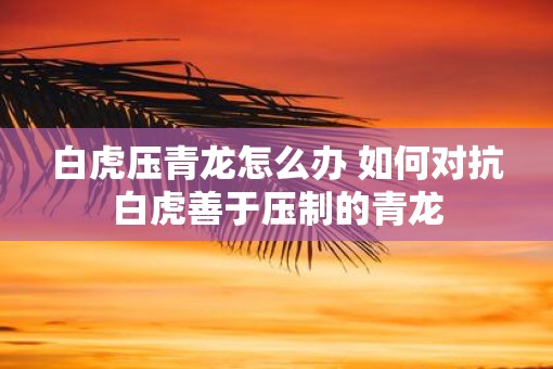 白虎压青龙怎么办 如何对抗白虎善于压制的青龙
