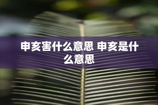 申亥害什么意思 申亥是什么意思