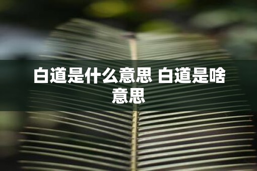 白道是什么意思 白道是啥意思