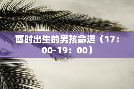 酉时出生的男孩命运（17：00-19：00）