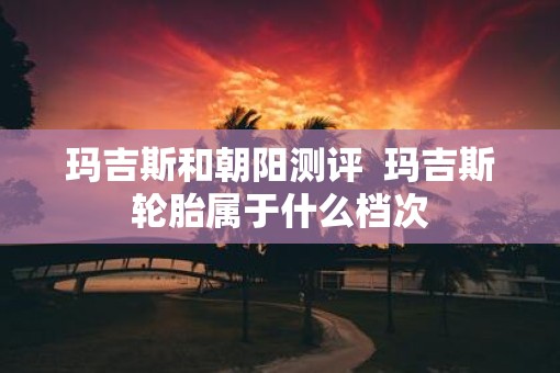 玛吉斯和朝阳测评  玛吉斯轮胎属于什么档次