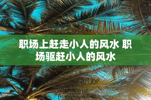 职场上赶走小人的风水 职场驱赶小人的风水