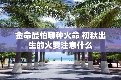 金命最怕哪种火命 初秋出生的火要注意什么