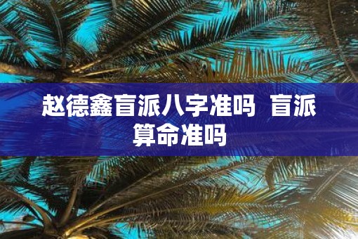 赵德鑫盲派八字准吗  盲派算命准吗
