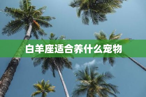 白羊座适合养什么宠物