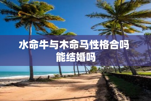 水命牛与木命马性格合吗 能结婚吗