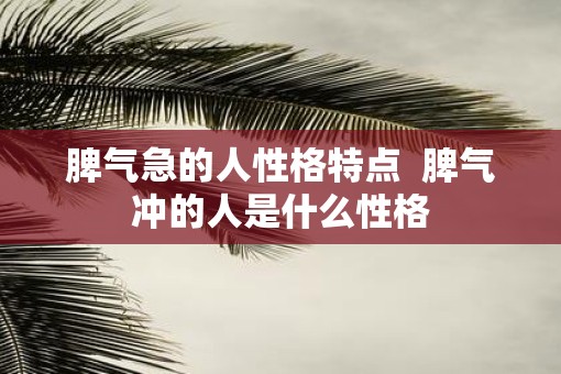 脾气急的人性格特点  脾气冲的人是什么性格