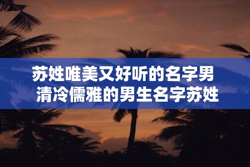 苏姓唯美又好听的名字男  清冷儒雅的男生名字苏姓