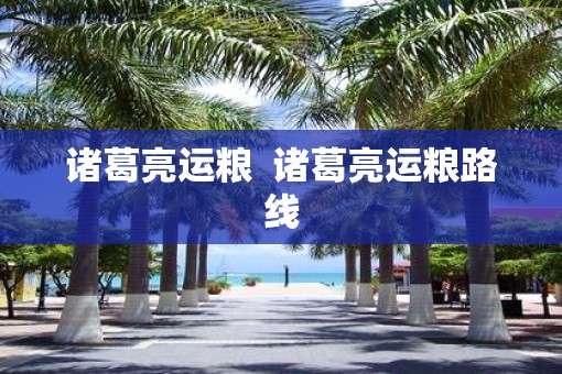 诸葛亮运粮  诸葛亮运粮路线