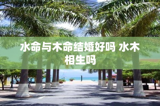 水命与木命结婚好吗 水木相生吗