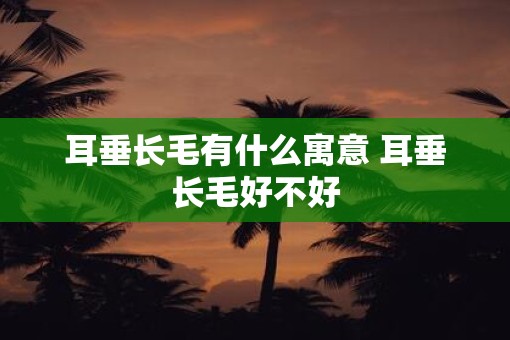 耳垂长毛有什么寓意 耳垂长毛好不好