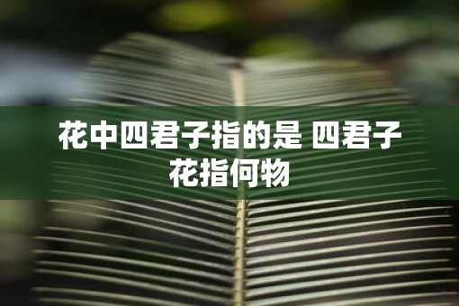 花中四君子指的是 四君子花指何物