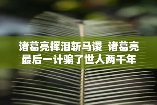 诸葛亮挥泪斩马谡  诸葛亮最后一计骗了世人两千年