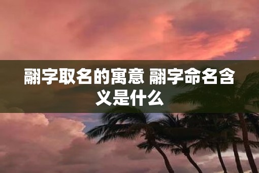 翮字取名的寓意 翮字命名含义是什么