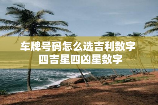 车牌号码怎么选吉利数字  四吉星四凶星数字