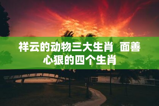 祥云的动物三大生肖  面善心狠的四个生肖