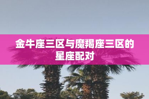金牛座三区与魔羯座三区的星座配对