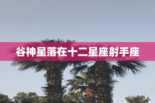 谷神星落在十二星座射手座