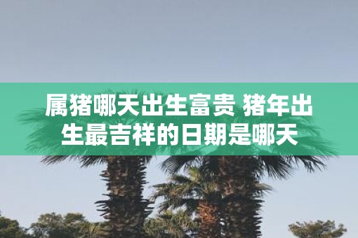 属猪哪天出生富贵 猪年出生最吉祥的日期是哪天