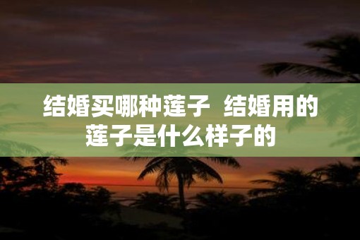 结婚买哪种莲子  结婚用的莲子是什么样子的