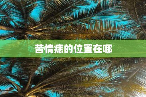 苦情痣的位置在哪 苦情痣的位置在哪