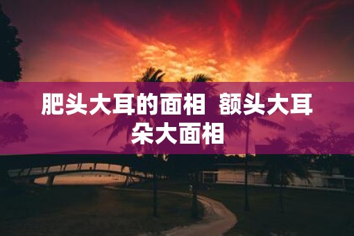 肥头大耳的面相  额头大耳朵大面相