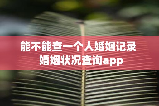 能不能查一个人婚姻记录  婚姻状况查询app