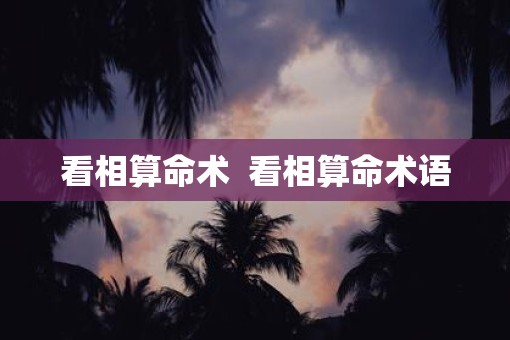 看相算命术  看相算命术语