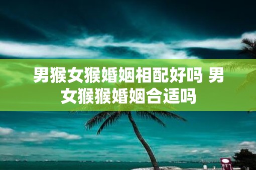 男猴女猴婚姻相配好吗 男女猴猴婚姻合适吗