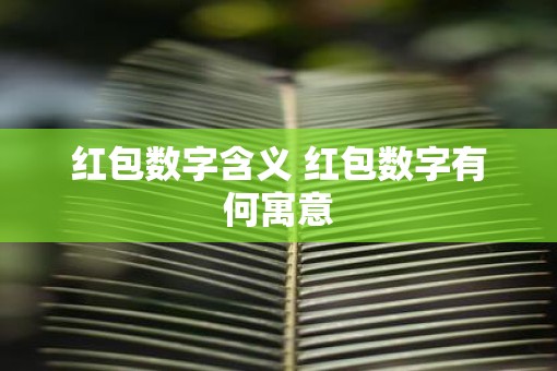 红包数字含义 红包数字有何寓意