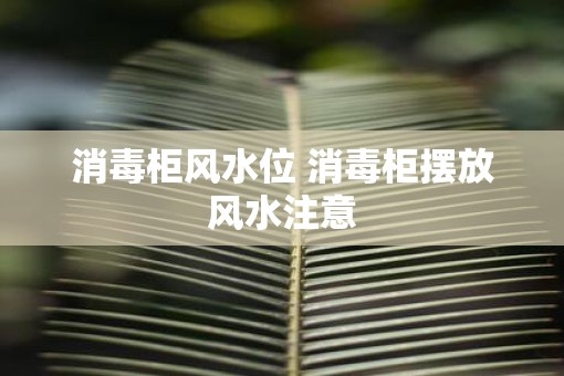 消毒柜风水位 消毒柜摆放风水注意