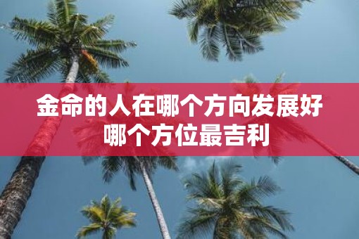 金命的人在哪个方向发展好  哪个方位最吉利
